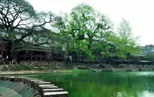 娱乐吃瓜酱四川眉山